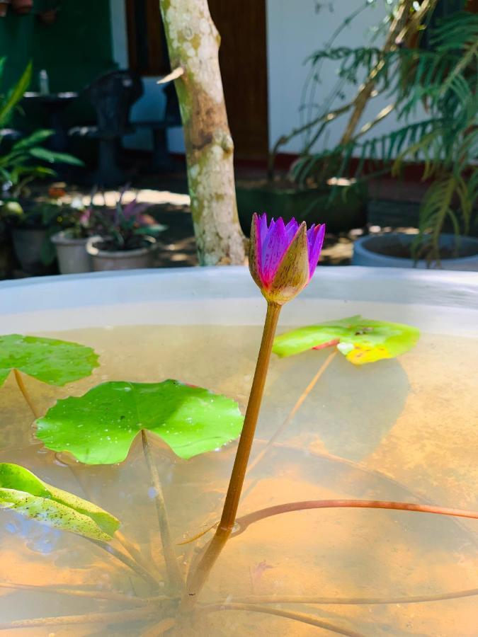 Vinu'S Place ماتارا المظهر الخارجي الصورة